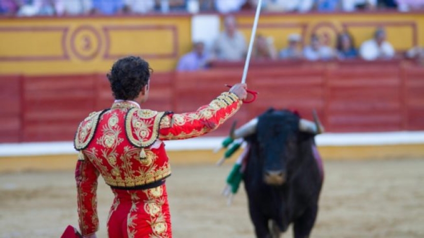 Por qué la gente en España corre de toros: la historia de las vacaciones de San Fermín en Pamplona Por qué la gente en España corre de toros: la historia de las vacaciones de San Fermín en Pamplona