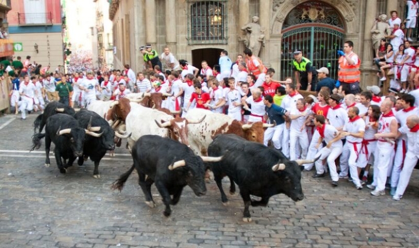 Por qué la gente en España corre de toros: la historia de las vacaciones de San Fermín en Pamplona Por qué la gente en España corre de toros: la historia de las vacaciones de San Fermín en Pamplona