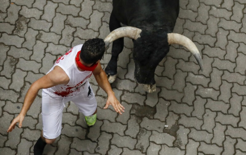 Por qué la gente en España corre de toros: la historia de las vacaciones de San Fermín en Pamplona Por qué la gente en España corre de toros: la historia de las vacaciones de San Fermín en Pamplona