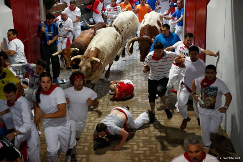 Por qué la gente en España corre de toros: la historia de las vacaciones de San Fermín en Pamplona Por qué la gente en España corre de toros: la historia de las vacaciones de San Fermín en Pamplona