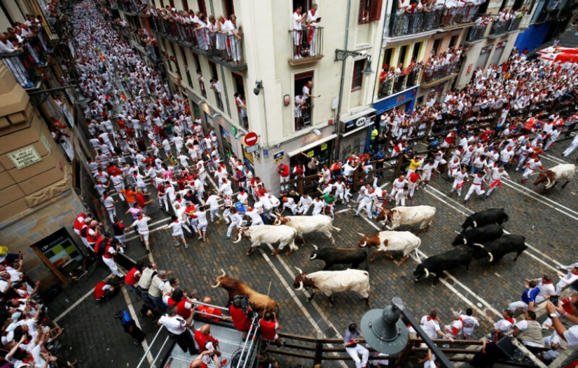 Por qué la gente en España corre de toros: la historia de las vacaciones de San Fermín en Pamplona Por qué la gente en España corre de toros: la historia de las vacaciones de San Fermín en Pamplona