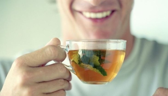 Por qué la menta se llama planta femenina y por qué es peligrosa para los hombres Por qué la menta se llama planta femenina y por qué es peligrosa para los hombres