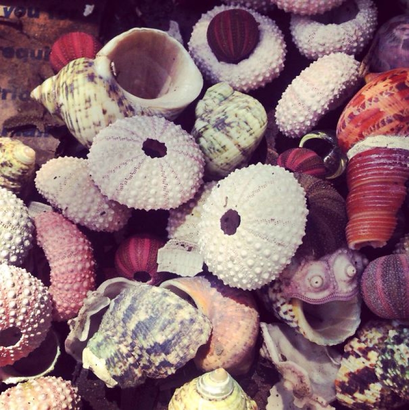 Por qué vemos caras en todas partes Por qué vemos caras en todas partes