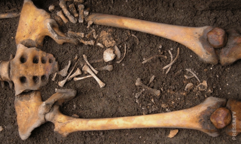 Posthumous birth: scientists explained the terrible phenomenon Posthumous birth: scientists explained the terrible phenomenon