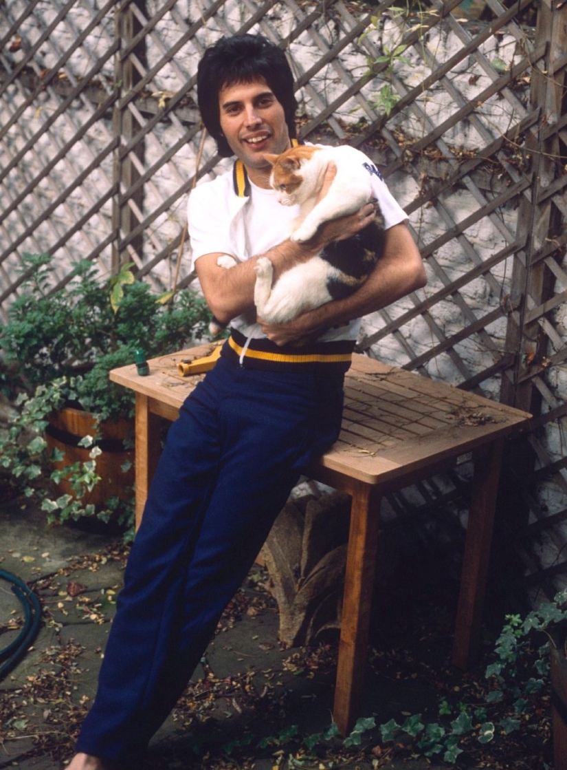 Princess Diana, Michael Jackson and even a llama: what happened at freddie Mercury's parties Princess Diana, Michael Jackson and even a llama: what happened at freddie Mercury's parties