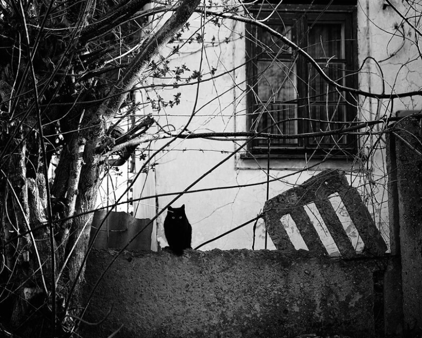 Private sector aesthetics