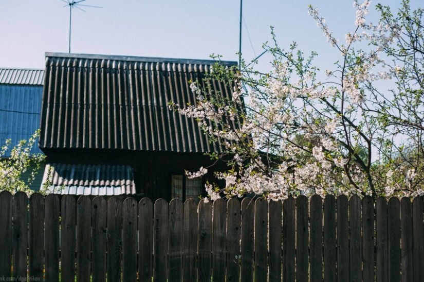 Private sector aesthetics