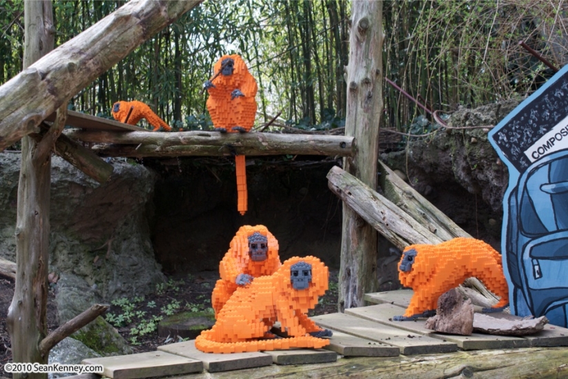 Profesión lego-master-cómo ganar dinero jugando