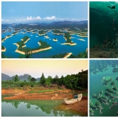 Qiandaohu - Lago de las Mil Islas