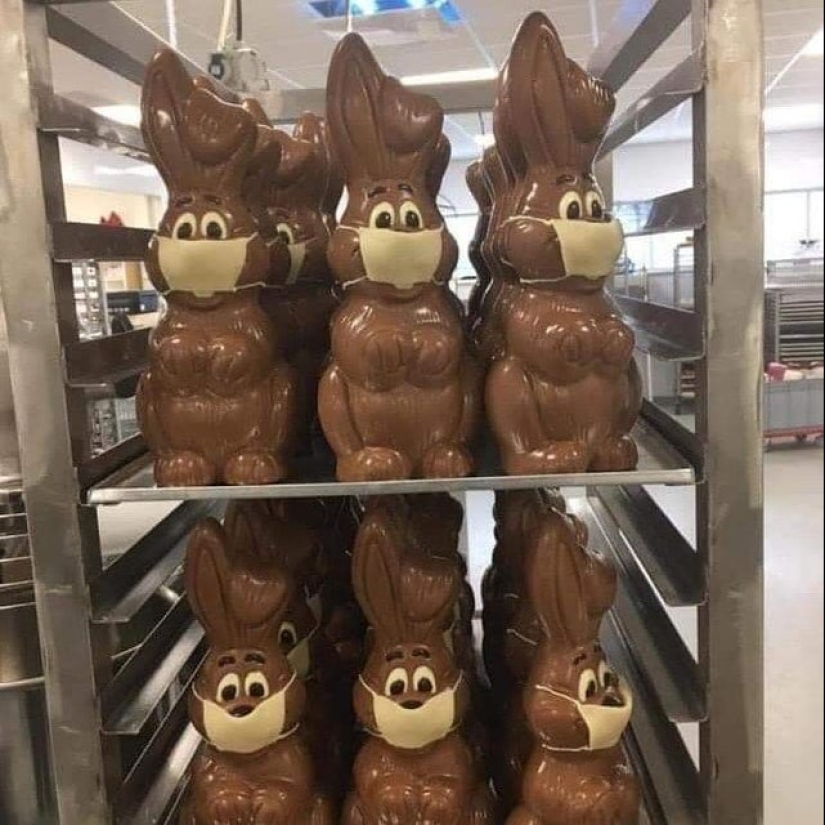 ¿Qué diablos es eso?! 20 fotos que representan cosas realmente extrañas