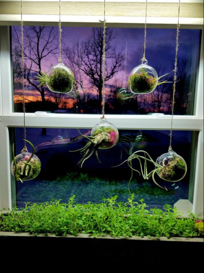 ¿Qué diablos es eso?! 20 fotos que representan cosas realmente extrañas