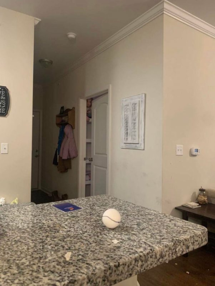 ¿Qué diablos es eso?! 20 fotos que representan cosas realmente extrañas