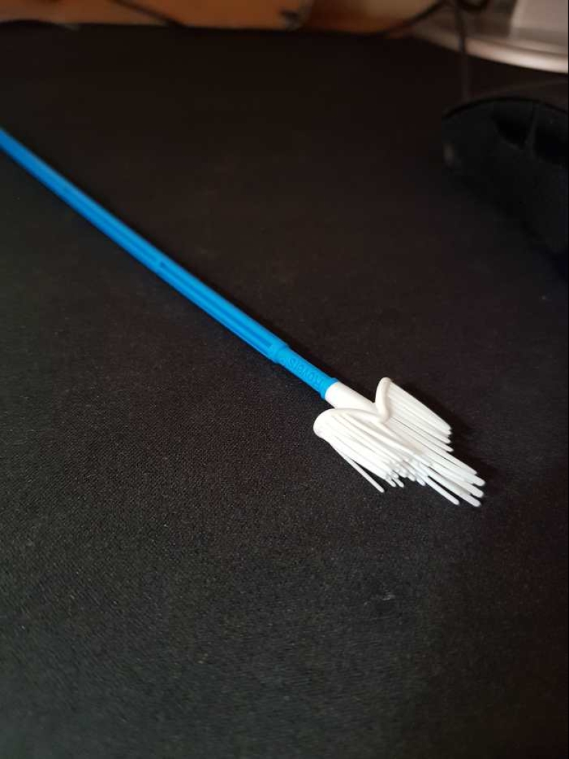 "¿ Qué es esta cosa?": 20 + cosas extrañas que han engañado a los usuarios de Internet "¿ Qué es esta cosa?": 20 + cosas extrañas que han engañado a los usuarios de Internet