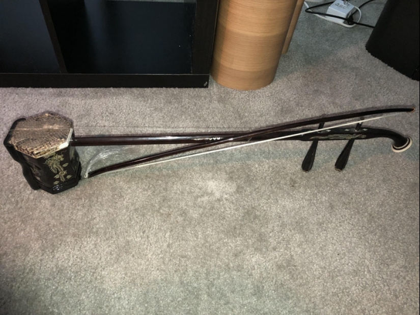 "¿ Qué es esta cosa?": 20 + cosas extrañas que han engañado a los usuarios de Internet "¿ Qué es esta cosa?": 20 + cosas extrañas que han engañado a los usuarios de Internet