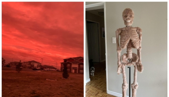 "¿Qué es esto..?": 22 fotos de cosas que causaron mucha confusión a la gente "¿Qué es esto..?": 22 fotos de cosas que causaron mucha confusión a la gente