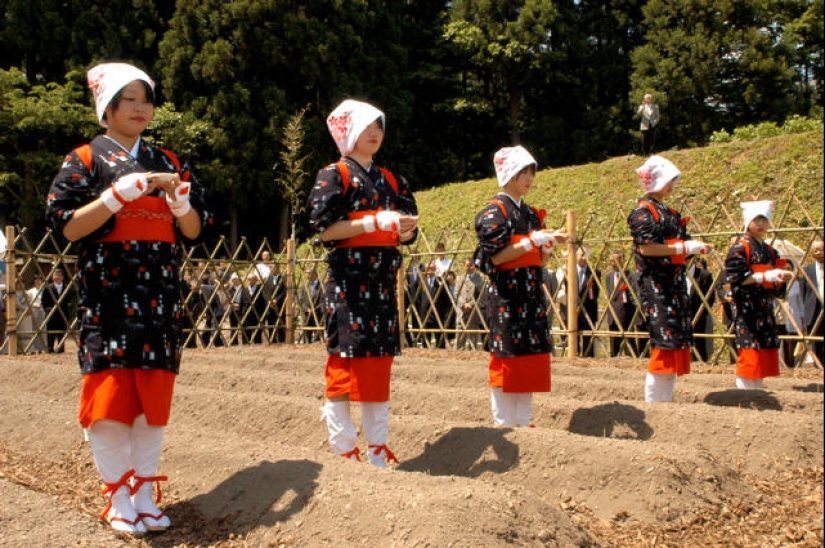 ¿Qué es “karoshi” o por qué los japoneses mueren en el trabajo?