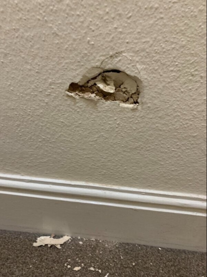 ¿Qué es un mal día? 22 casos en los que el destino se volvió hacia atrás ¿Qué es un mal día? 22 casos en los que el destino se volvió hacia atrás