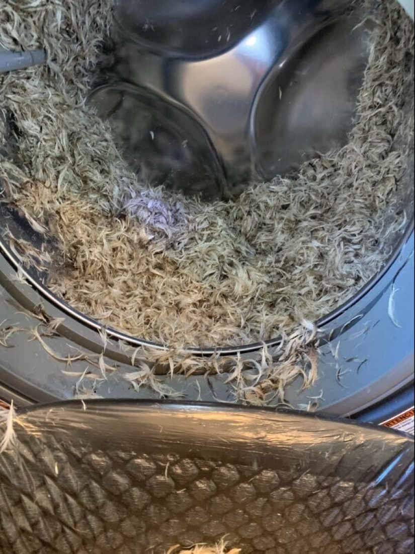 ¿Qué es un mal día? 22 casos en los que el destino se volvió hacia atrás ¿Qué es un mal día? 22 casos en los que el destino se volvió hacia atrás