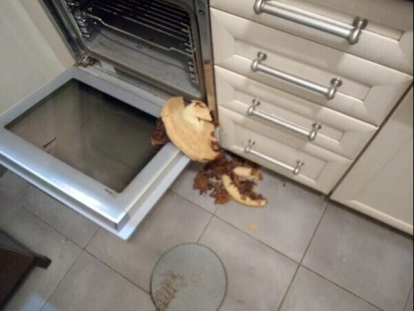 ¿Qué es un mal día? 22 casos en los que el destino se volvió hacia atrás ¿Qué es un mal día? 22 casos en los que el destino se volvió hacia atrás