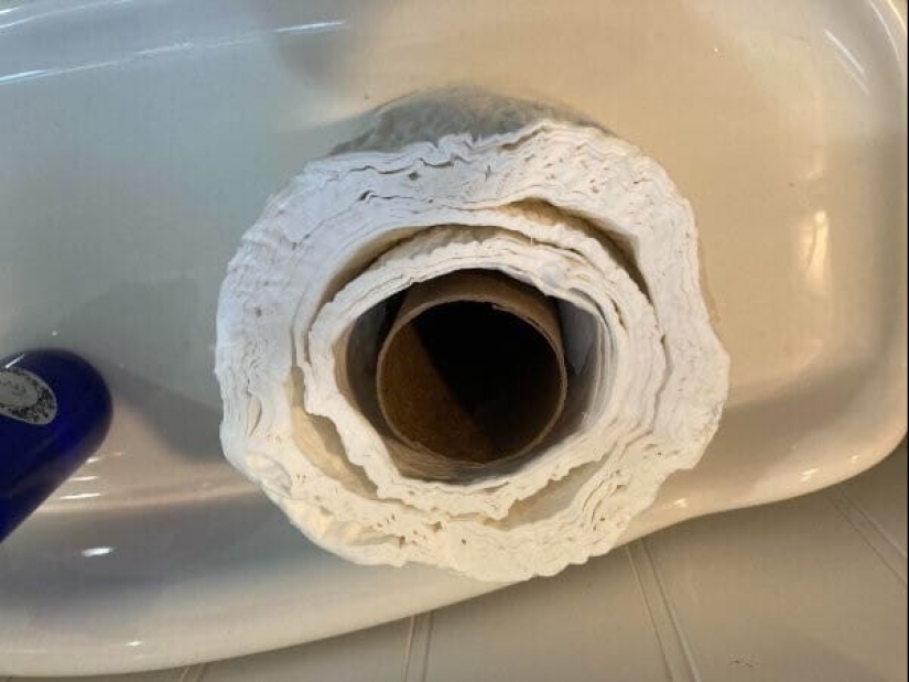 ¿Qué es un mal día? 22 casos en los que el destino se volvió hacia atrás ¿Qué es un mal día? 22 casos en los que el destino se volvió hacia atrás