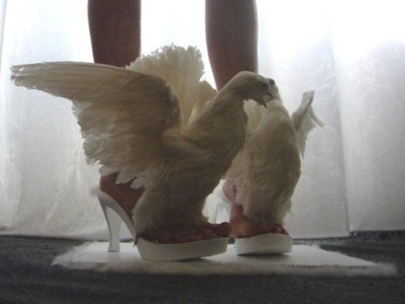 Qué fotos no se deben tomar en la boda