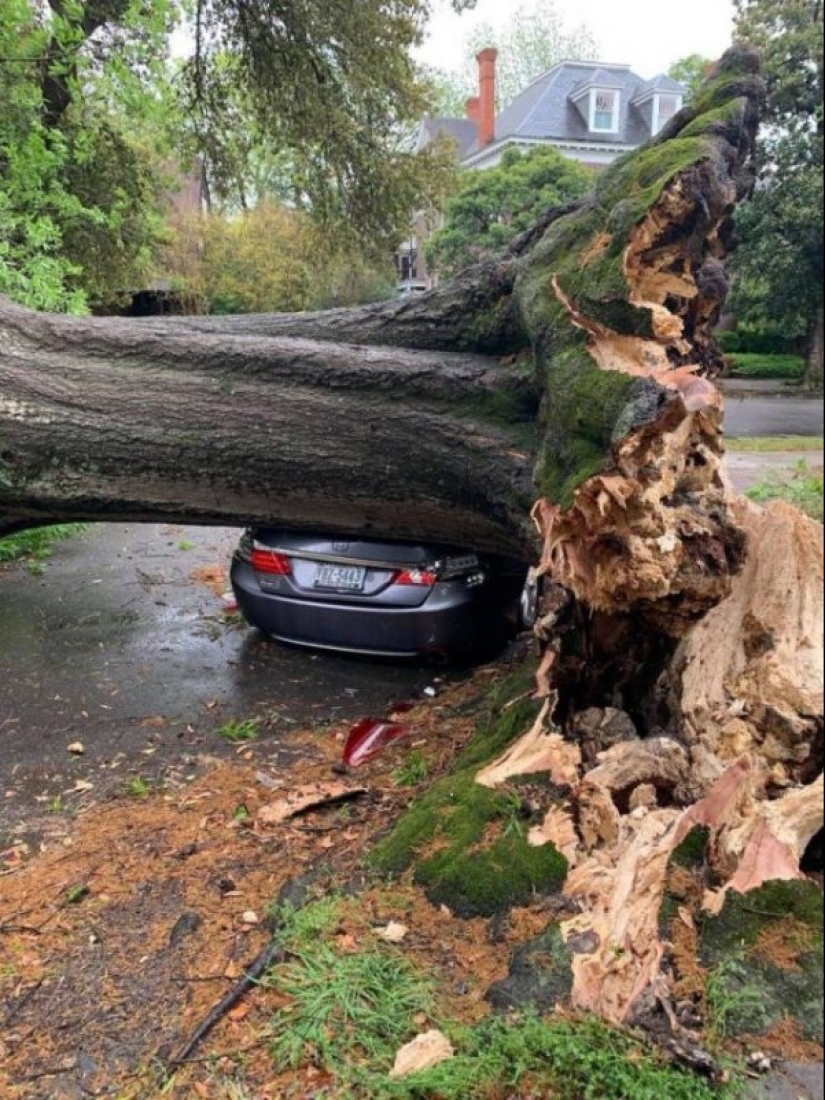 ¿Qué sabe usted acerca de la mala suerte?! 20 personas que estaban teniendo un día realmente malo ¿Qué sabe usted acerca de la mala suerte?! 20 personas que estaban teniendo un día realmente malo