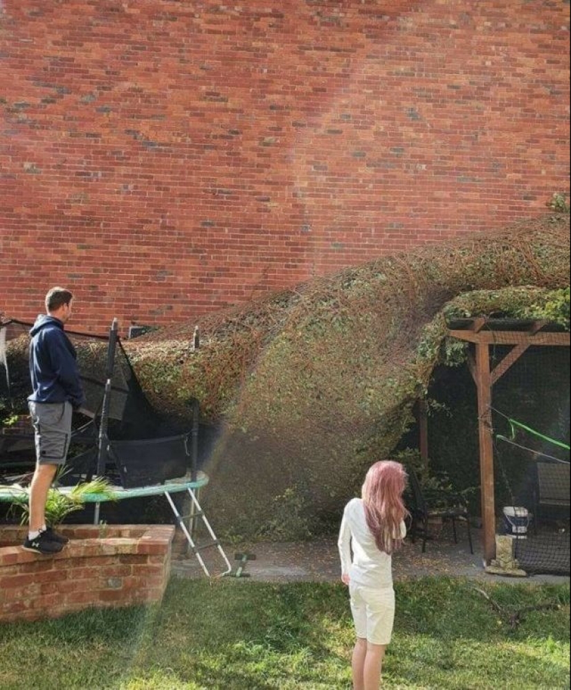 ¿Qué sabe usted acerca de la mala suerte?! 20 personas que estaban teniendo un día realmente malo ¿Qué sabe usted acerca de la mala suerte?! 20 personas que estaban teniendo un día realmente malo