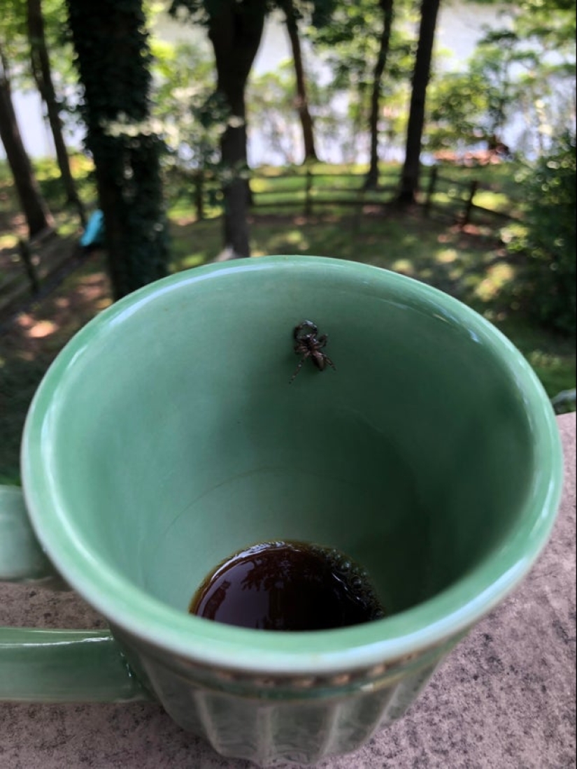 ¿Qué sabes de fracasos? 22 fotos de "personas afortunadas"reales ¿Qué sabes de fracasos? 22 fotos de "personas afortunadas"reales