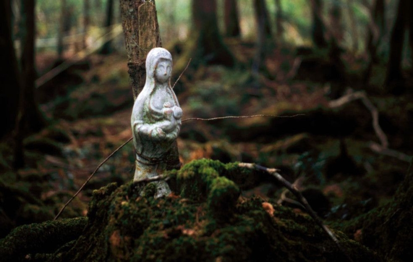 ¿Qué se esconde tras Aokigahara? El bosque de los suicidios en el corazón de Japón