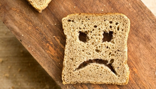 ¿Qué sucede si usted come el pan con moho