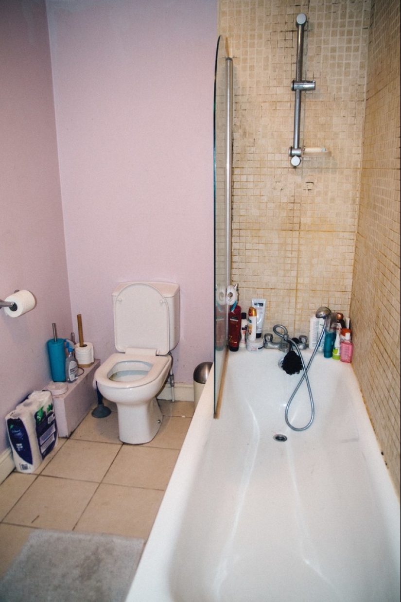 Queens of shit or household chistyuli? Queens of shit or household chistyuli?