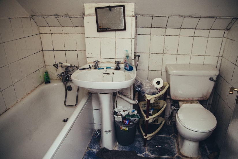 Queens of shit or household chistyuli? Queens of shit or household chistyuli?