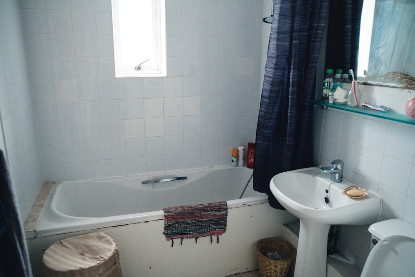 Queens of shit or household chistyuli? Queens of shit or household chistyuli?