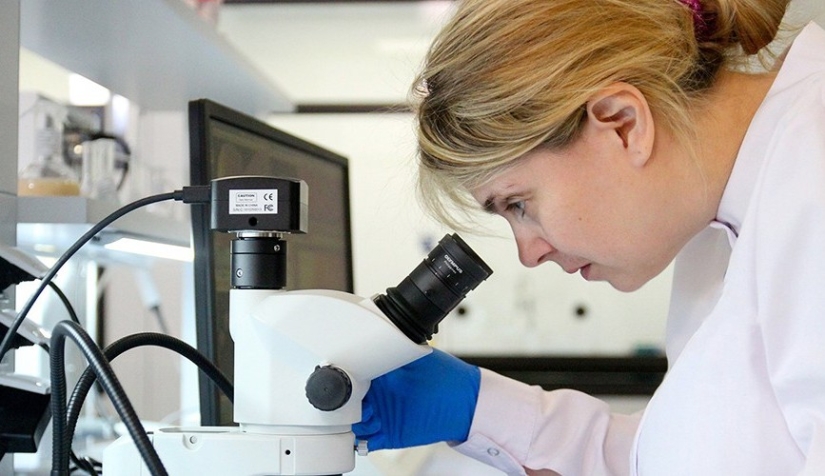 Quesos glaseados: ¿cuál es el peligro de un manjar popular con nosotros Quesos glaseados: ¿cuál es el peligro de un manjar popular con nosotros