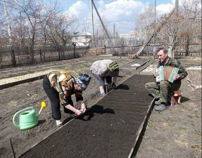 Quien dijo que el sexo débil es una mujer? Aquí están 13 photoproofs inversa Quien dijo que el sexo débil es una mujer? Aquí están 13 photoproofs inversa