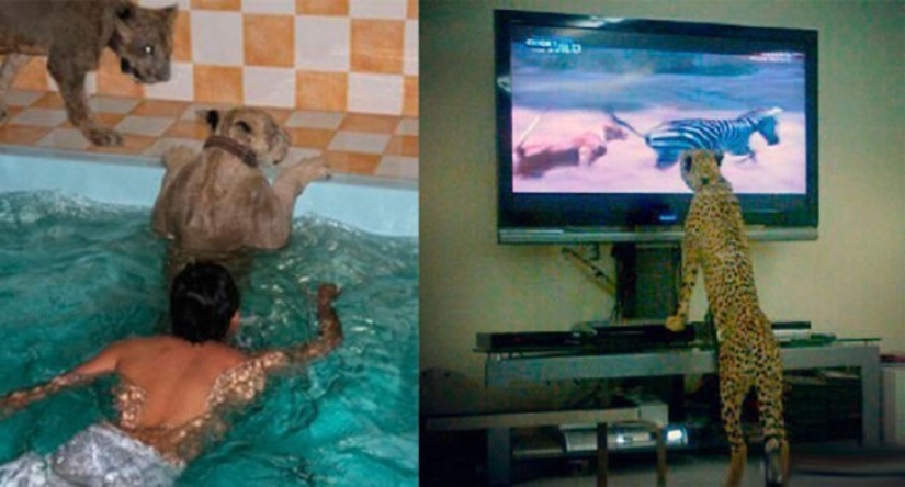 ¿Quién eres, Dubai, adiós: enloquecedor y un poco divertido lujo ¿Quién eres, Dubai, adiós: enloquecedor y un poco divertido lujo