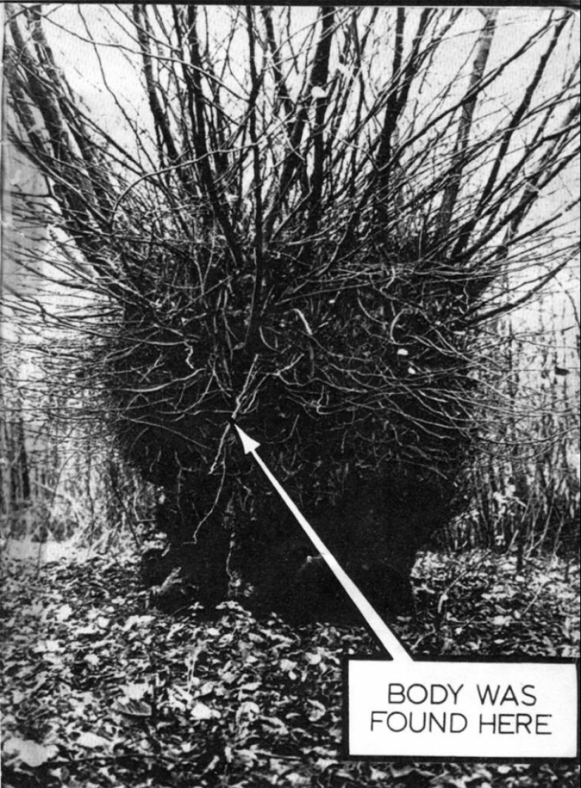 ¿Quién puso a Bella en el Olmo de la Bruja? El Crimen Más Misterioso de Gran Bretaña ¿Quién puso a Bella en el Olmo de la Bruja? El Crimen Más Misterioso de Gran Bretaña