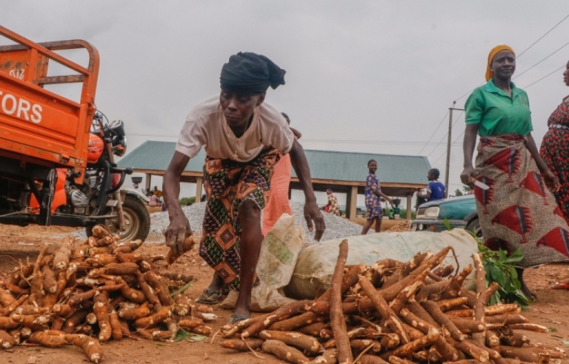 Quinientos millones de personas en la Tierra consumen un producto mortal Quinientos millones de personas en la Tierra consumen un producto mortal