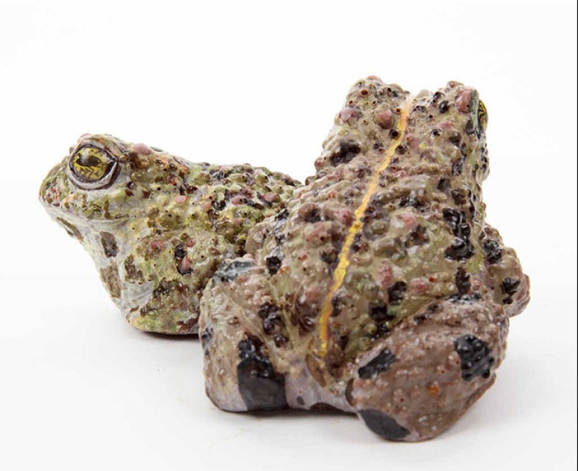 Ranas, corazones, conchas y otras figuras de chocolate de Sarah Hardy Ranas, corazones, conchas y otras figuras de chocolate de Sarah Hardy