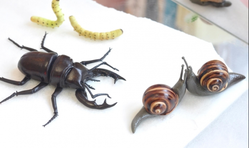 Ranas, corazones, conchas y otras figuras de chocolate de Sarah Hardy Ranas, corazones, conchas y otras figuras de chocolate de Sarah Hardy