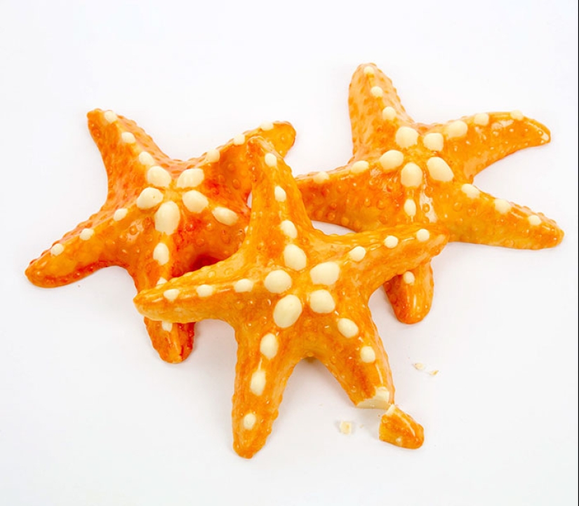 Ranas, corazones, conchas y otras figuras de chocolate de Sarah Hardy Ranas, corazones, conchas y otras figuras de chocolate de Sarah Hardy