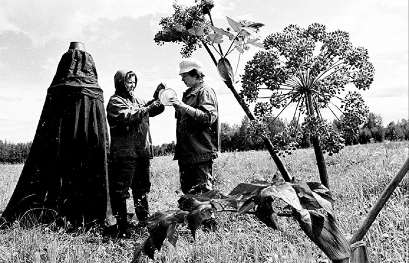 Rare photos of the construction of BAM