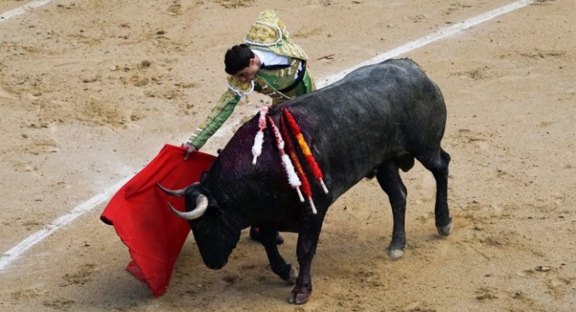 ¿Reaccionan los alcistas al color rojo?