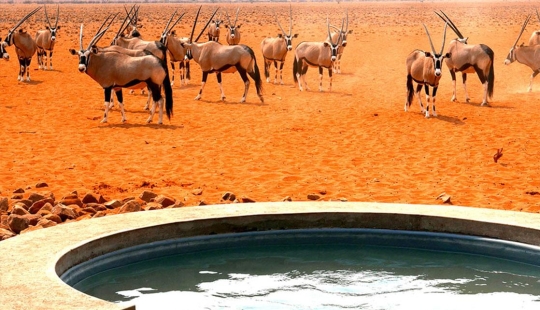 Recumbent excursions: 9 best baths on the planet Recumbent excursions: 9 best baths on the planet