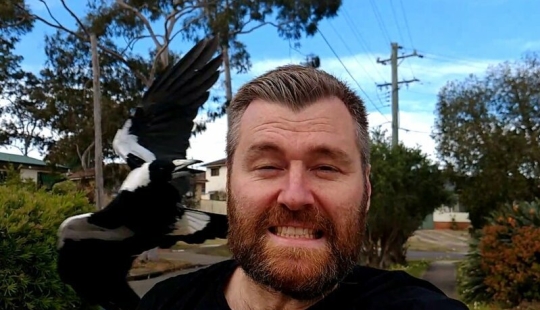 Reddit usuarios respondieron a la pregunta: "¿Qué es normal en su país y parece super extraño a los extranjeros" Reddit usuarios respondieron a la pregunta: "¿Qué es normal en su país y parece super extraño a los extranjeros"