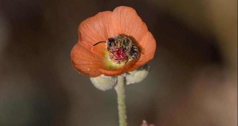 Relax! 10 facts that will soothe and delight