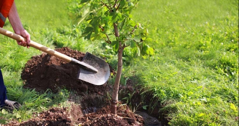 Relax! 10 facts that will soothe and delight