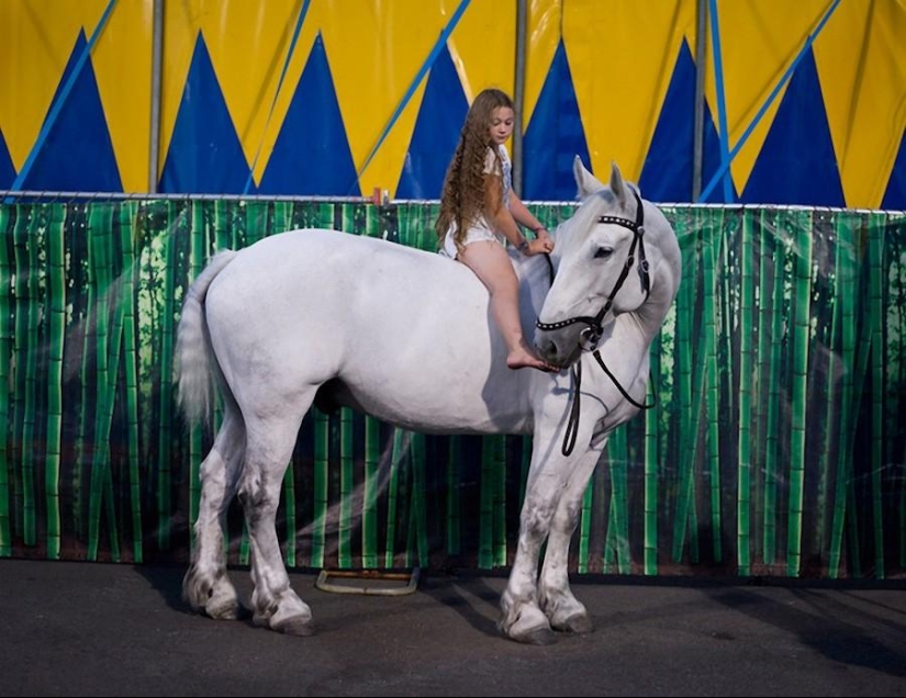 Robin Schwartz's Photo Project "Amelia's World": Art Through the Prism of Childhood and Nature Robin Schwartz's Photo Project "Amelia's World": Art Through the Prism of Childhood and Nature