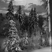 Robinson con una ametralladora, o la increíble historia del desertor Mark Gursky