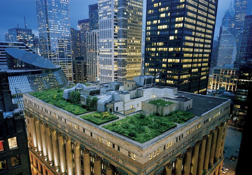 Roof Gardens